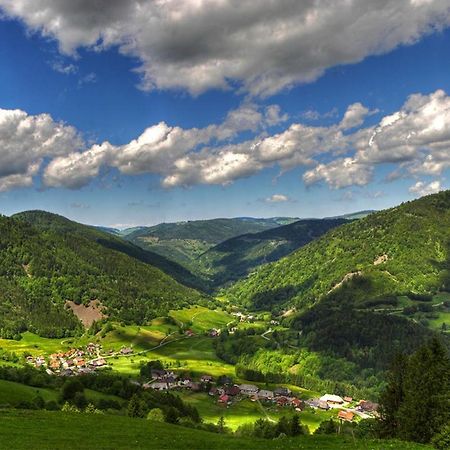 Urlaub Auf 1.000 Meter Hoehe Mit Pool Und Sauna Schönwalde Esterno foto