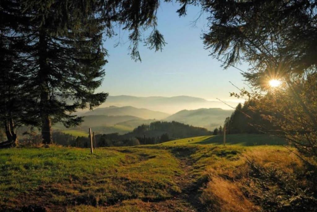 Urlaub Auf 1.000 Meter Hoehe Mit Pool Und Sauna Schönwalde Esterno foto