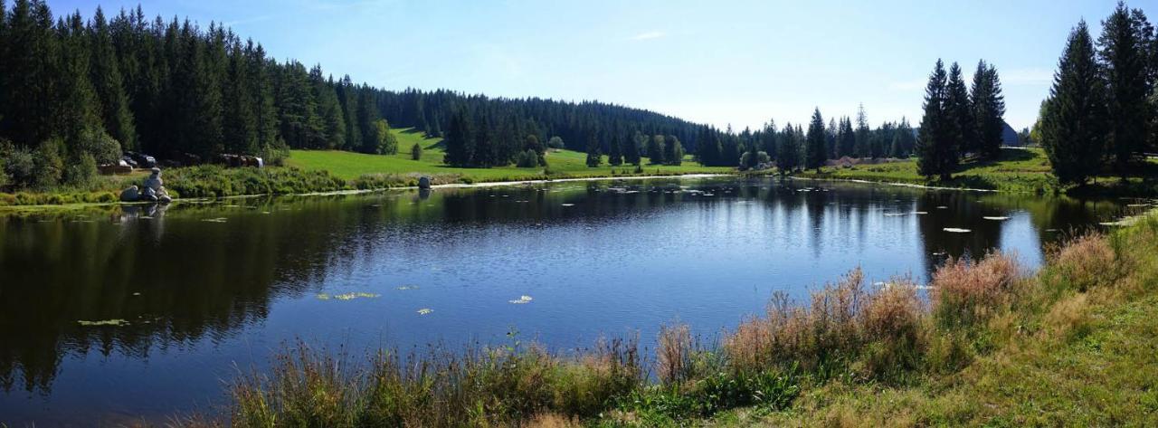 Urlaub Auf 1.000 Meter Hoehe Mit Pool Und Sauna Schönwalde Esterno foto