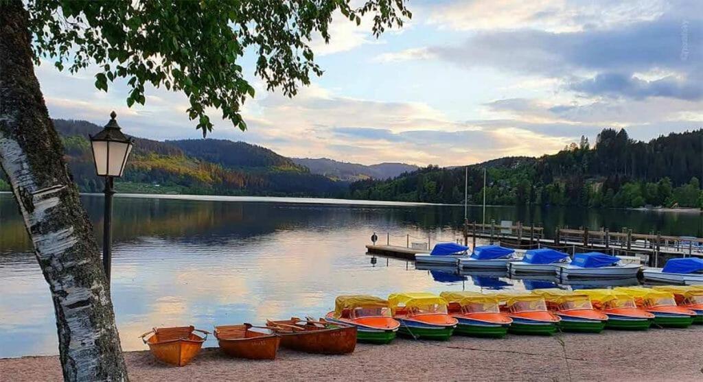 Urlaub Auf 1.000 Meter Hoehe Mit Pool Und Sauna Schönwalde Esterno foto