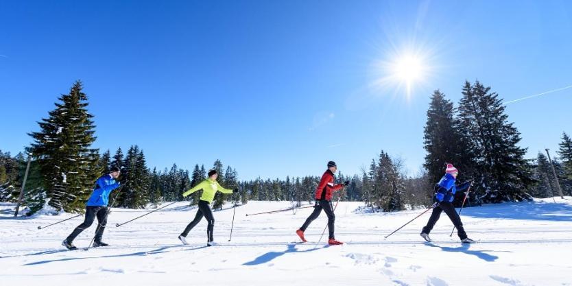 Urlaub Auf 1.000 Meter Hoehe Mit Pool Und Sauna Schönwalde Esterno foto