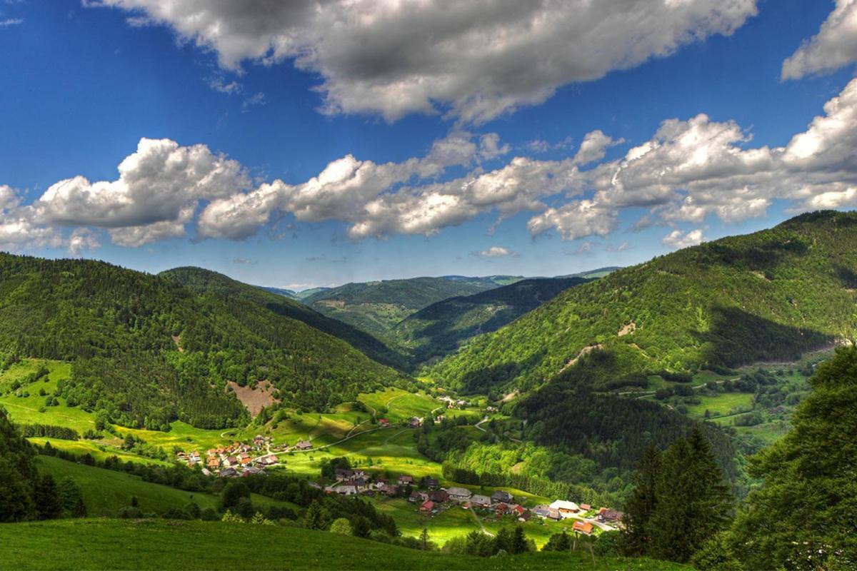 Urlaub Auf 1.000 Meter Hoehe Mit Pool Und Sauna Schönwalde Esterno foto